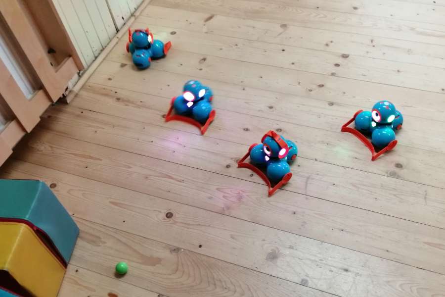 Lekcje z Dash - Pasje Górą