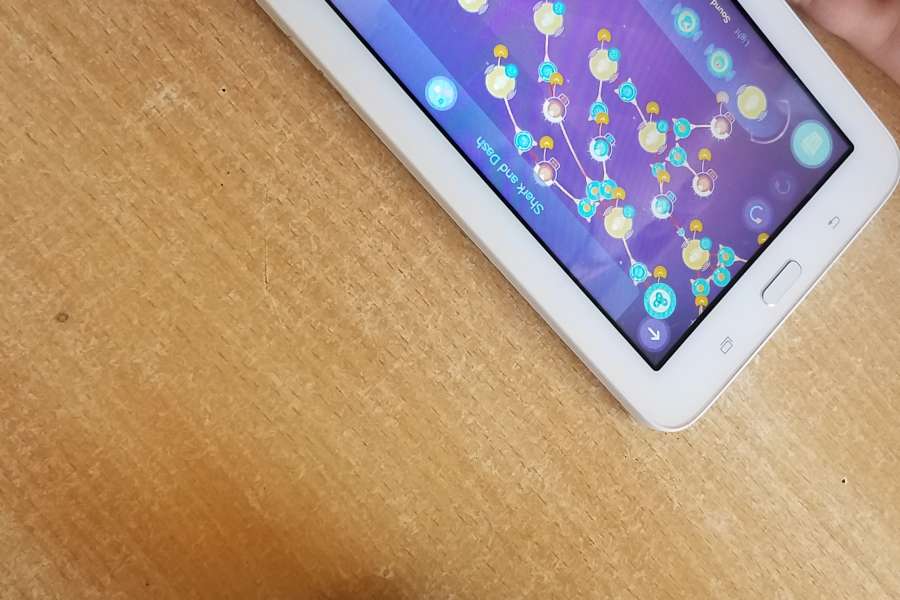 Lekcje z Dash - Pasje Górą