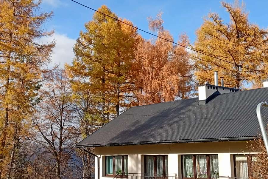 Zajęcia fotograficzne-pasje Górą PKl