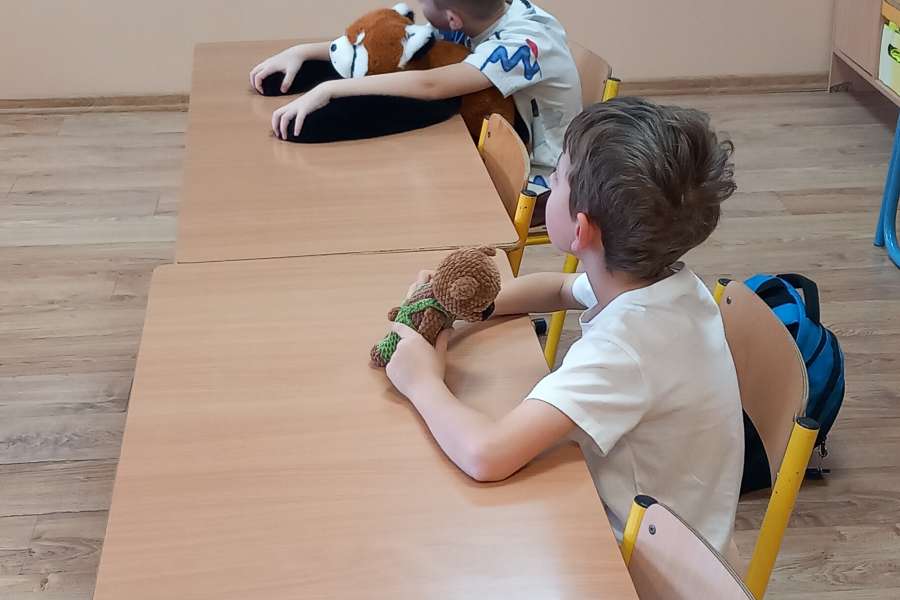 Dzień pluszowego Misia 2025