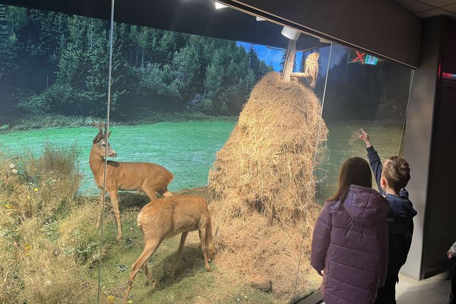 Wyjście klasy 1 do Centrum Edukacyjnego Tatrzańskiego Parku Narodowego2025