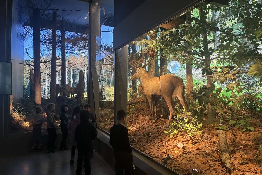 Wyjście klasy 1 do Centrum Edukacyjnego Tatrzańskiego Parku Narodowego2025