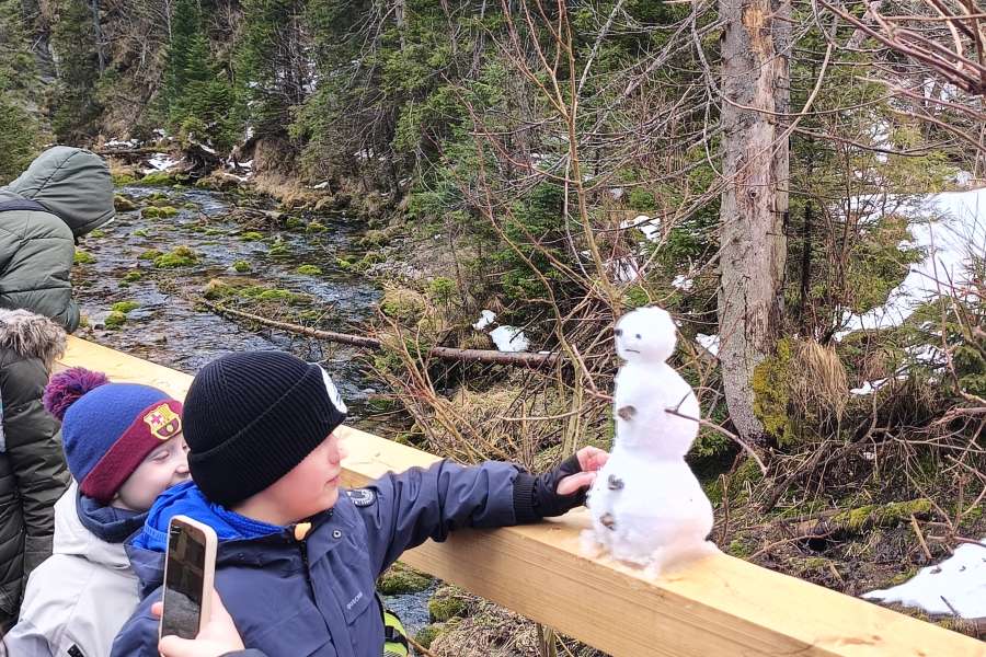 Ferie zimowe pełne aktywności2025-2026