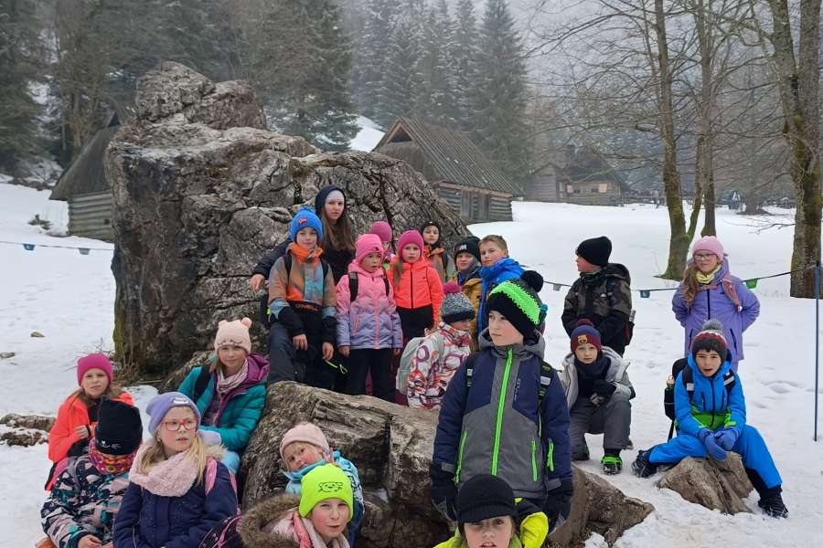 Ferie zimowe pełne aktywności2025-2026