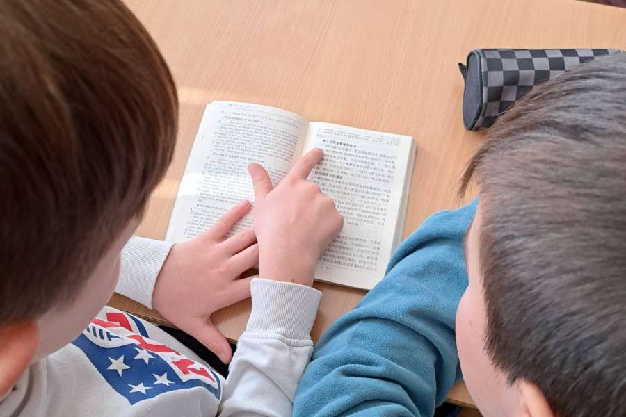 Biblia w różnych językach